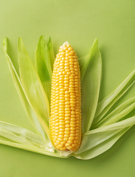 Seis tipos distintos de maíz